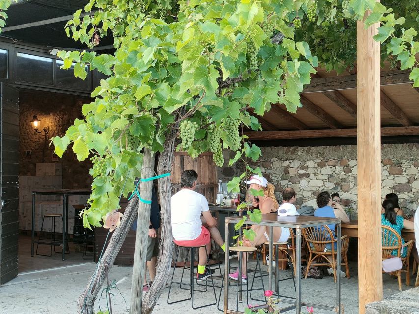 Cavaion: Lake Garda Wine & Food Tasting with Vineyard Tour - Walking among the vines and olive trees