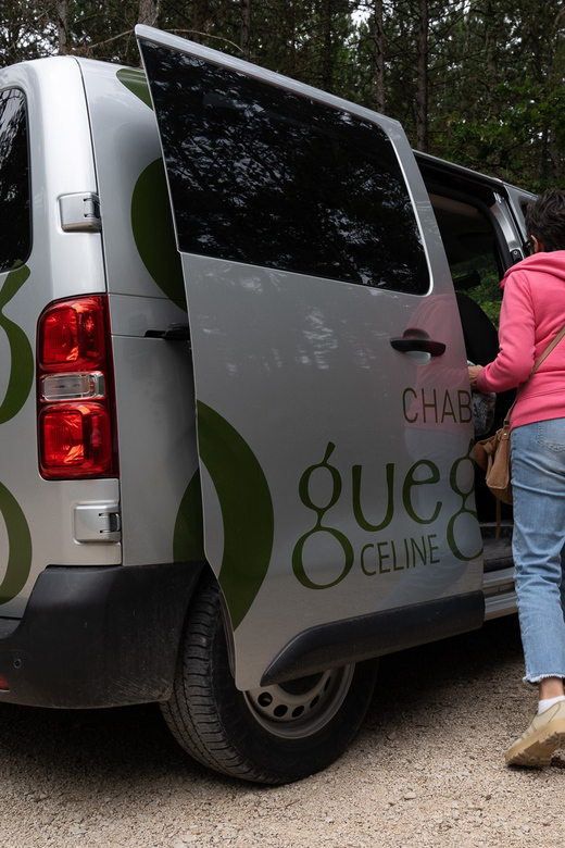 Chablis: Visit of the Grand Cru vineyard - Returning for five Gueguen wines