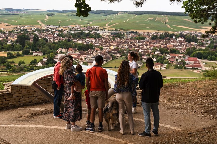 Chablis: Visit of the Grand Cru vineyard - How the $58 price works for you
