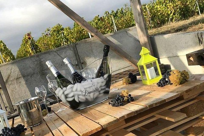 Champagne Lamiable: Stroll and taste in the Grand Cru Champagne vineyard - From Reims to Tours-sur-Marne