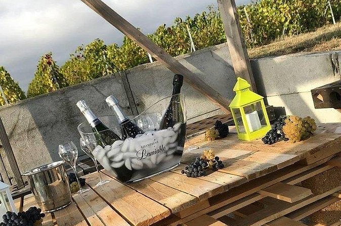 Champagne Lamiable: Stroll and taste in the Grand Cru Champagne vineyard - What the three cuvées offer
