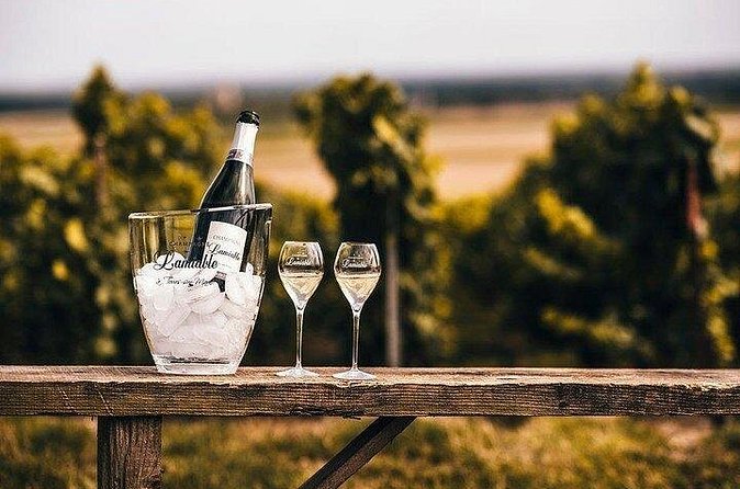 Champagne Lamiable: Stroll and taste in the Grand Cru Champagne vineyard - A closer look at the value at $66.08