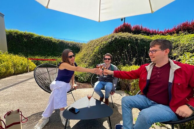 Champagne Picnic and Tasting on Vineyard. Private Tour from Paris - Key Points at a Glance