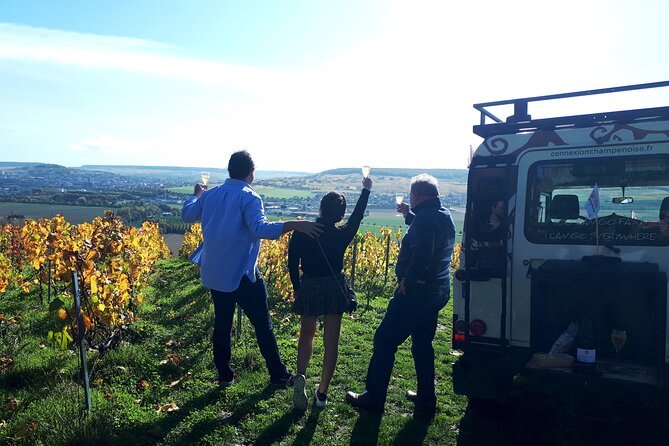 Champagne tasting, panoramic walk in the vineyards - A Champagne outing built around the view