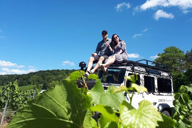 Champagne tasting, panoramic walk in the vineyards - The vineyard tasting and what you actually drink