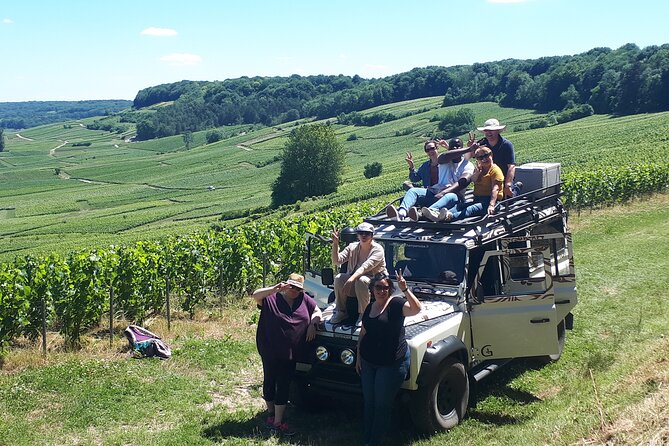 Champagne tasting, panoramic walk in the vineyards - Price, timing, and overall value