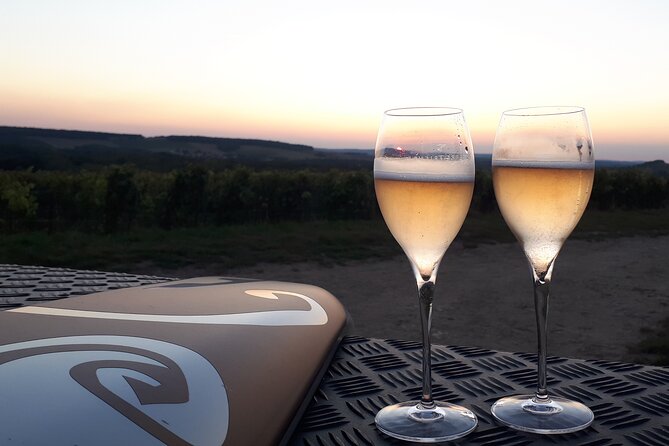 Champagne tasting, panoramic walk in the vineyards - What to ask before you book