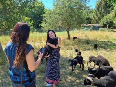 Champagne Vineyard Experience: Delve into the terroir