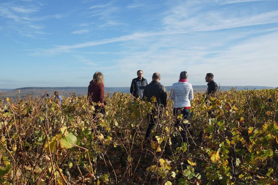 Champagne Vineyard Experience: Delve into the terroir - Who should book this Champagne visit