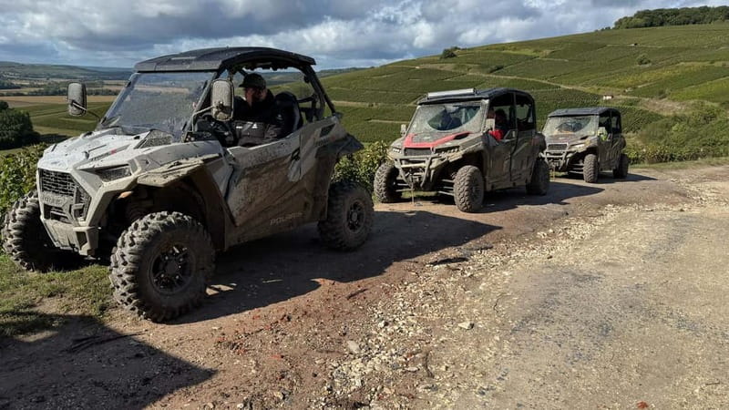 Champagne vineyards: 2-hour guided tour of the vineyards in a Buggy - What the $542 price means for two people
