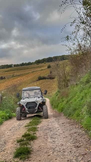 Champagne vineyards: 2-hour guided tour of the vineyards in a Buggy - Who will enjoy this most