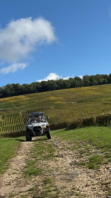 Champagne vineyards: 2-hour guided tour of the vineyards in a Buggy - Planning the day without surprises