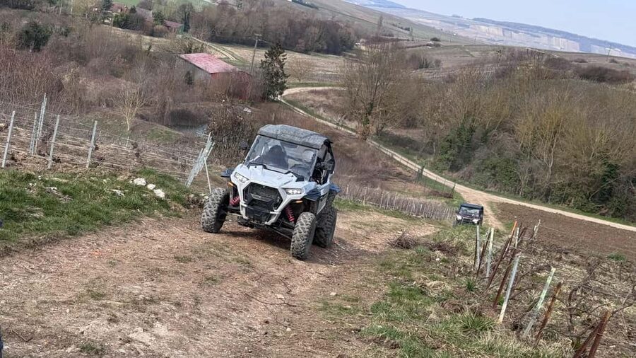 Champagne vineyards: 2-hour guided tour of the vineyards in a Buggy - Vincent’s view of the vineyard year