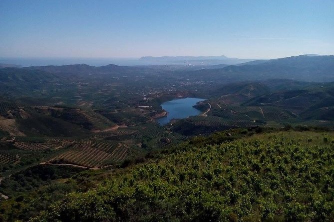 Chania Shore Excursion Off Road Vineyard and Winery Tour Half Day - Timing and port-day planning