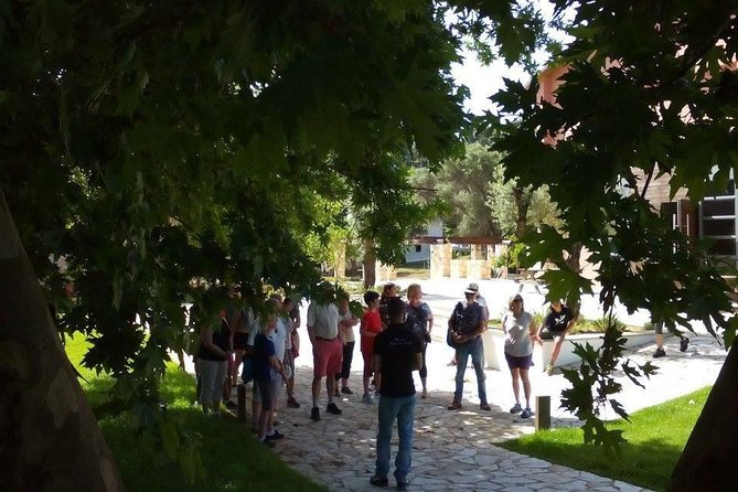 Chania Shore Excursion Off Road Vineyard and Winery Tour Half Day - Who should book this Crete excursion?