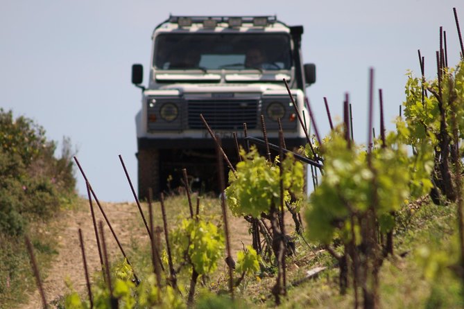 Chania Shore Excursion Off Road Vineyard and Winery Tour Half Day - Should you book it?