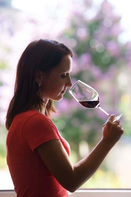 Château Olivier: One Hour Vineyard Tour with Wine Tasting - The grape varieties behind the red and white wines