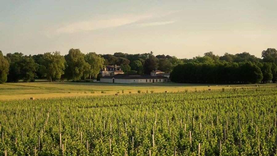 Château Olivier: One Hour Vineyard Tour with Wine Tasting - Is $23 a fair price for one hour?
