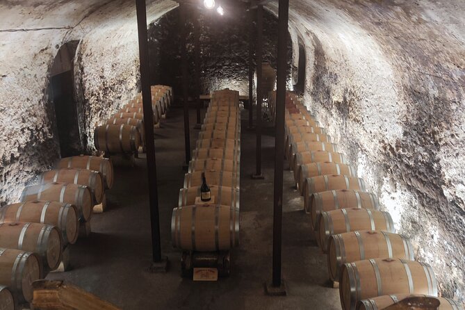 Chateauneuf du Pape and Luberon vineyard tour from Avignon - Timing, meeting point, and comfort
