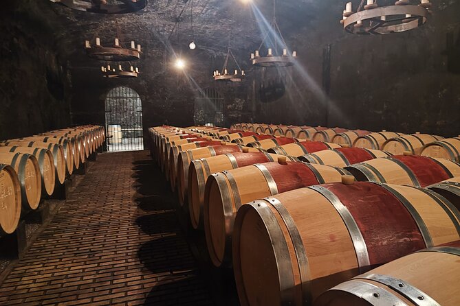 Chateauneuf du Pape and Luberon vineyard tour from Avignon - Choosing lunch in a Luberon village