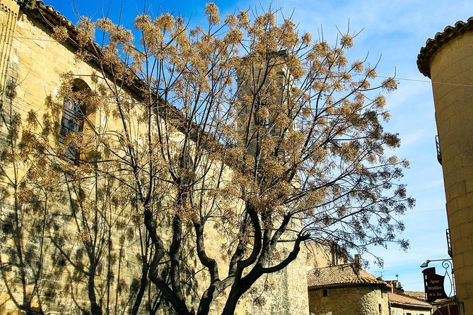 Châteauneuf Du Pape intensive vineyard & fine wine experience - Lunch, small-town stops, and room to personalize the day