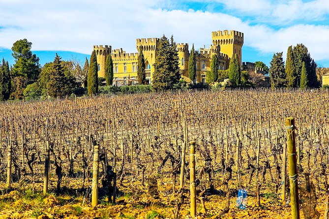 Châteauneuf Du Pape intensive vineyard & fine wine experience - Is $660.77 per person a fair price?