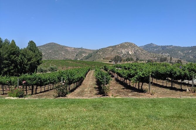 Chauffeured Adventure to Local San Diego Vineyards - Cordiano Winery for food, views, and sunset