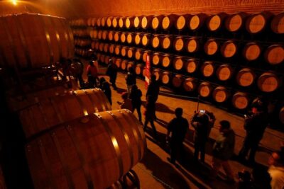 Cheese and Wine Route with 2 Towns, starting from Querétaro