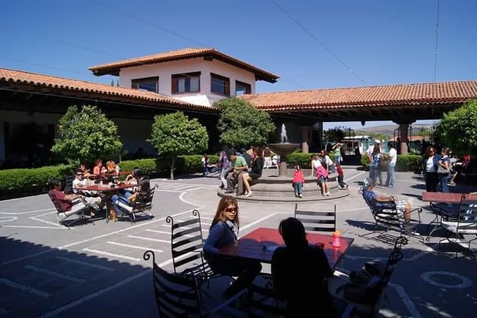 Cheese and Wine Route with 2 Towns, starting from Querétaro - Who will get the most from this Querétaro day trip?