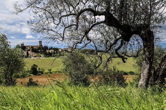 Chianti Delights: A Tale Of Two Wineries With A Vineyard Dinner - The value of $106.65