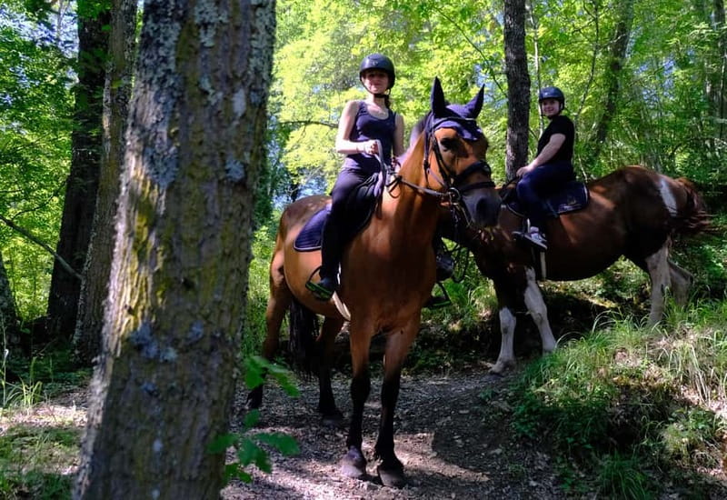 Chianti: Horseback Riding Through Vineyards and Woods - Practical details before you book