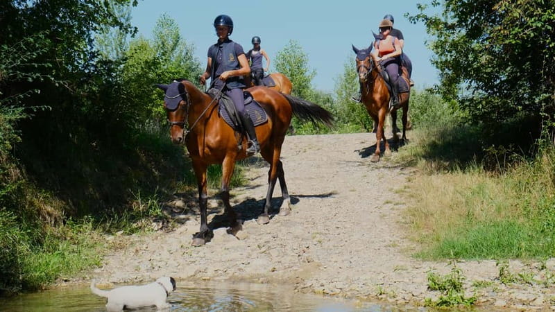 Chianti: Horseback Riding Through Vineyards and Woods - FAQ
