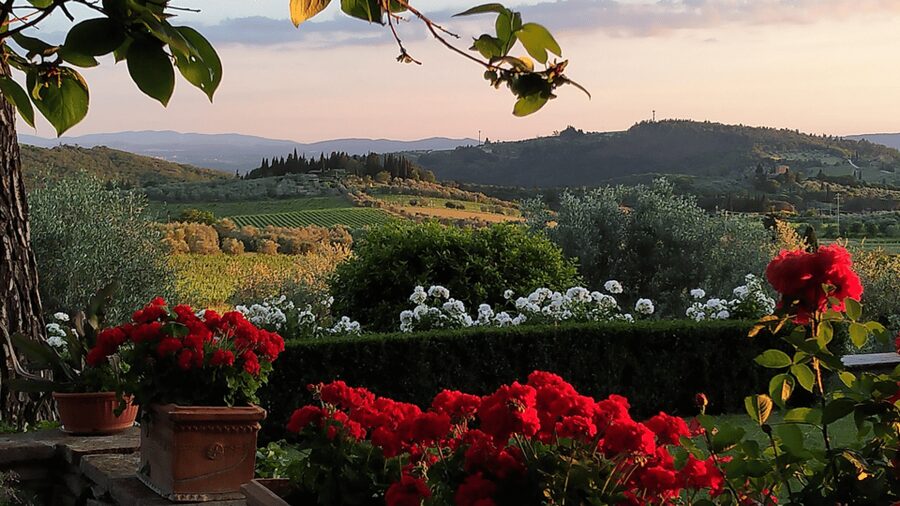 Chianti: Vineyard to Bottle Winery Visit with Tastings - Four Wines, Tuscan Bread, and Olive Oil