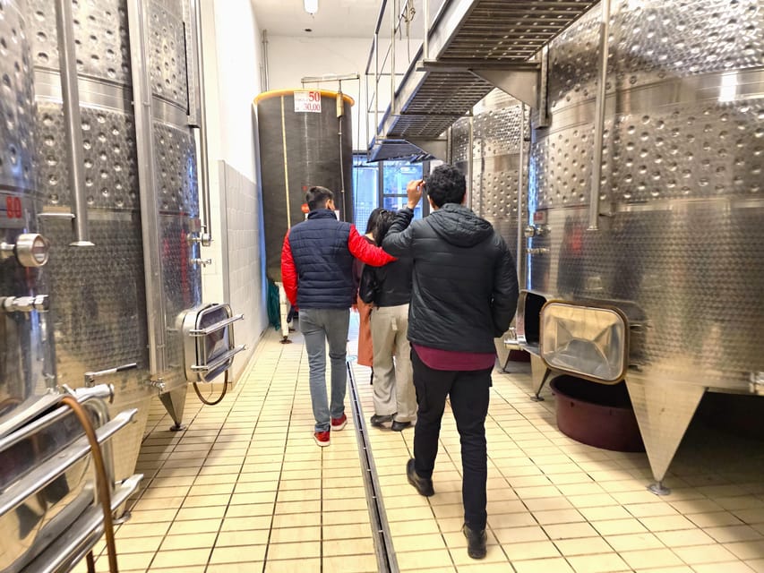 Chianti: Vineyard to Bottle Winery Visit with Tastings - What the $37 Price Really Buys You