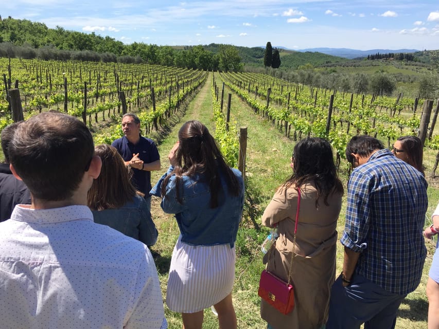 Chianti: Vineyard to Bottle Winery Visit with Tastings - Practical Details Before You Go