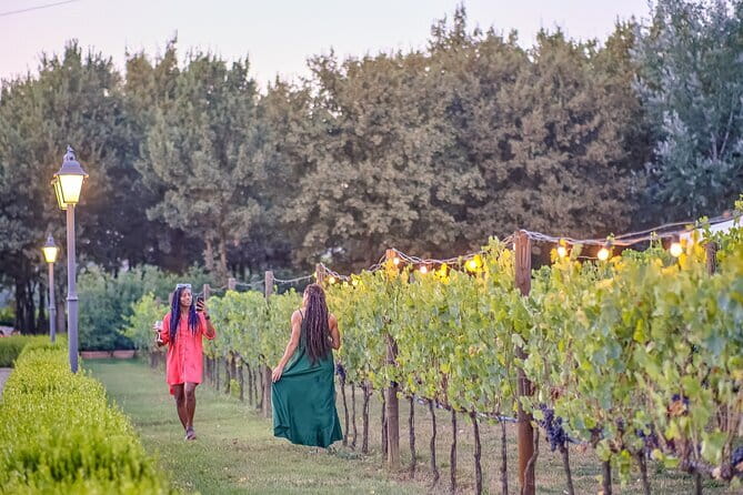 Chianti Vineyards Escape from Florence with Two Wine Tastings - Views, photographs, and the cost of timing