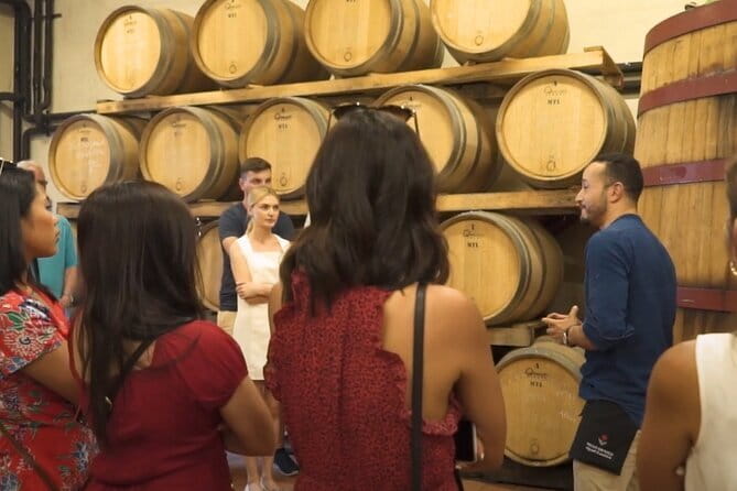 Chianti vineyards: Small-Group tour with wine tasting & Dinner - The wine tasting and local products
