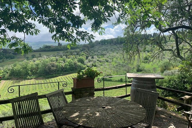 Chianti Vineyards Tours in Private Luxury Van from Florence - San Casciano, gardens, and a working estate