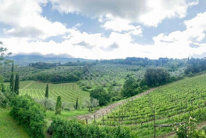 Chianti Vineyards Tours in Private Luxury Van from Florence - Brogioni and the first serious tasting