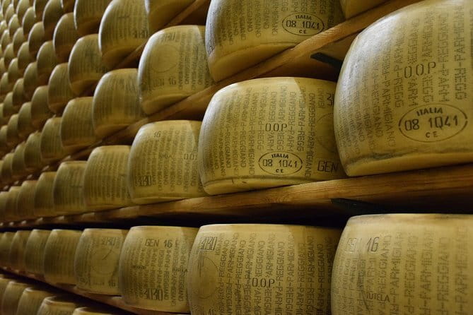 Chianti Vineyards Tours in Private Luxury Van from Florence - Sant’Appiano and the family side of Tuscan wine