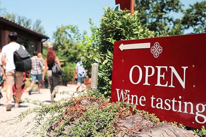 Chianti Wine Tour: Two Wine Tastings, Vineyards and Cellar Visit - Why this half-day Chianti trip works from Florence