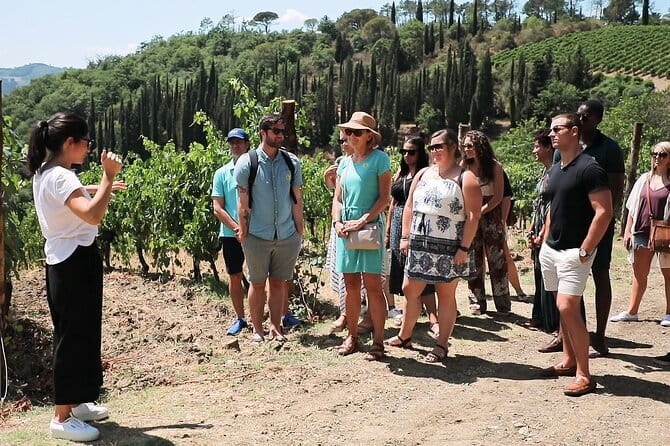 Chianti Wine Tour: Two Wine Tastings, Vineyards and Cellar Visit - Following the Via Chiantigiana into the hills