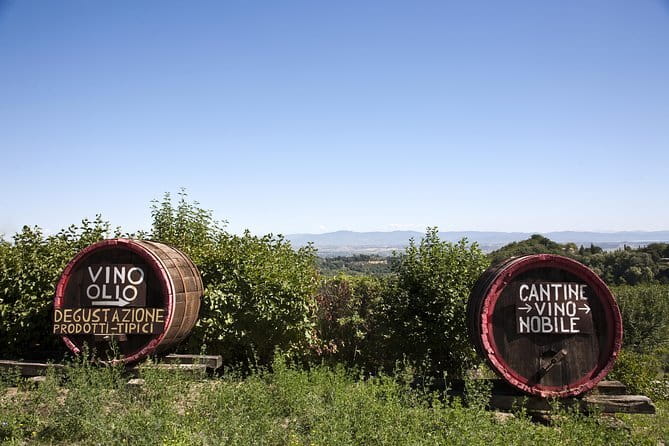 Chianti Wine Tour: Two Wine Tastings, Vineyards and Cellar Visit - Group size, guiding, and the small-group variation
