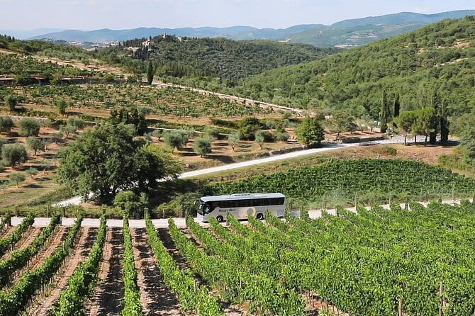 Chianti Wine Tour: Two Wine Tastings, Vineyards and Cellar Visit - First winery: organic production and local food
