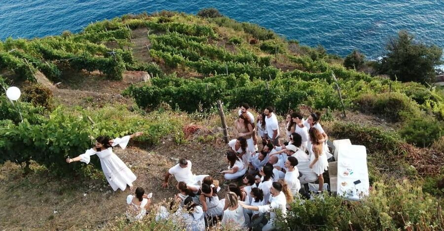 Cinque Terre: tasting in the cellar with visit to vineyards - Who will enjoy this most