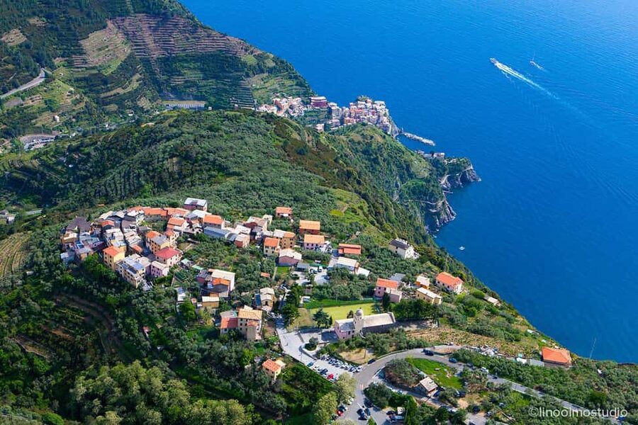 Cinque Terre: tasting in the cellar with visit to vineyards - The vineyard walk explains the hard part