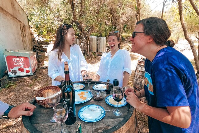 Coastal Vineyards: A Dream Wine Tour to Elaphiti Islands - From Dubrovnik harbor to Šipan’s quieter shore