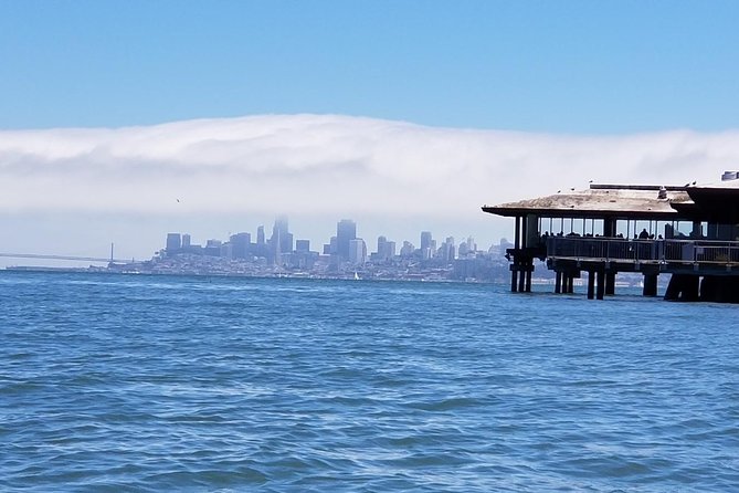 Combo Tour: Muir Woods, Sausalito and Sonoma Wine Country Tour - Muir Woods and the coastal redwoods