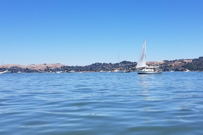 Combo Tour: Muir Woods, Sausalito and Sonoma Wine Country Tour - Sonoma Plaza and a little free time