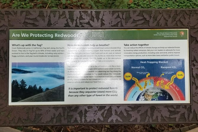 Combo Tour: Muir Woods, Sausalito and Sonoma Wine Country Tour - From Union Square to the Golden Gate
